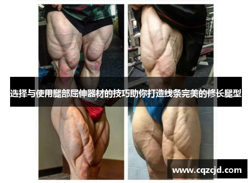 选择与使用腿部屈伸器材的技巧助你打造线条完美的修长腿型